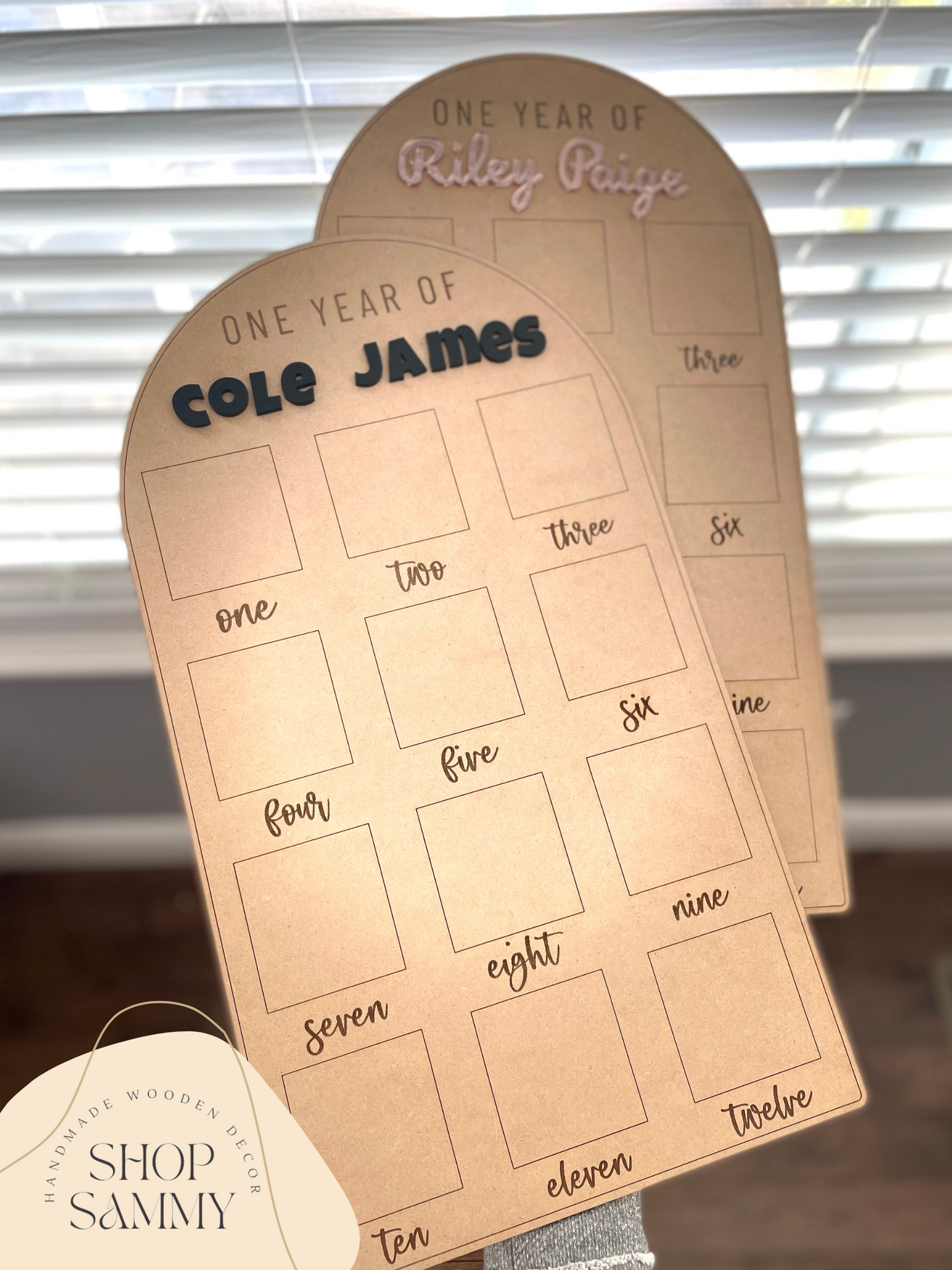 ONE YEAR PICTURE BOARD